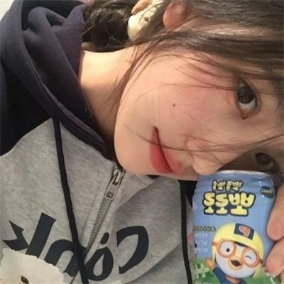 犬爱 高清封面