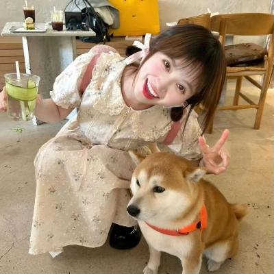 加菲猫和他的朋友们第七季 高清封面